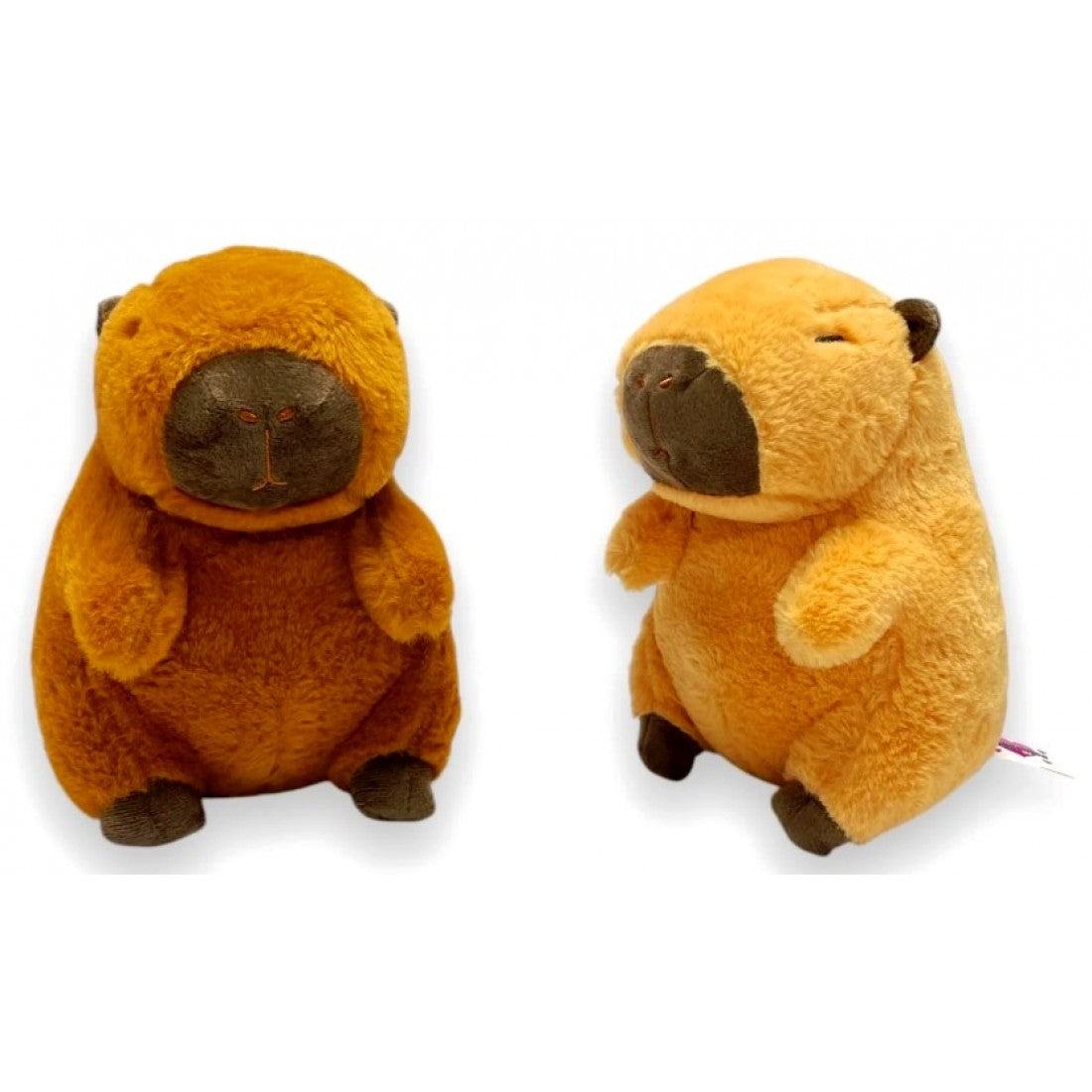 Capybara 23cm Plush Assortment