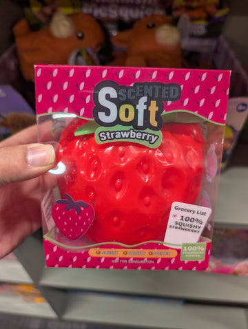 Giant Squishy Strawberry Stress Relief Fidget Toy Dough filled Sensory Fidget in Box